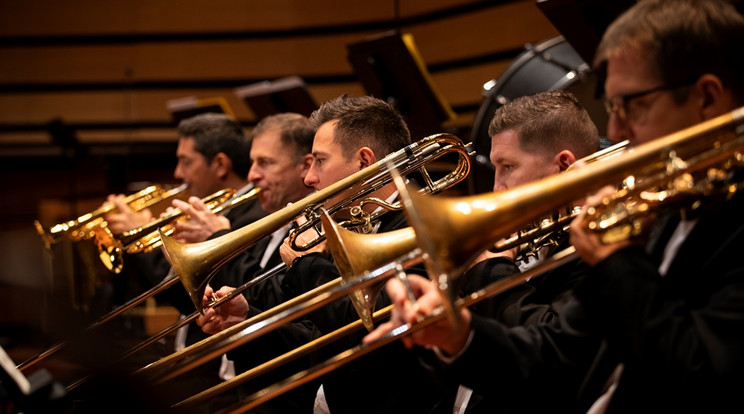 Október 18-án vasárnap 19.30-kor a Pesti Vigadóban Hadady László oboa- és Zempléni Szabolcs kürtművész a Nemzeti Filharmonikusokkal muzsikál / Fotó: Hargitay Olivér