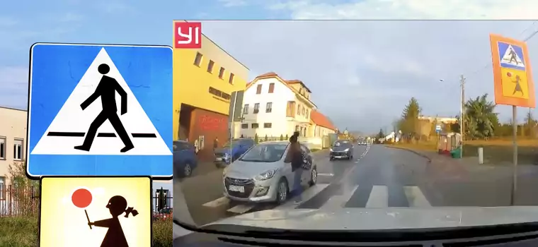 Te pasy z "Agatką" są koszmarem dzieci. Czy petycja i wideo pomogą?