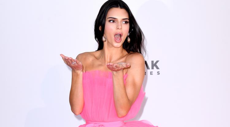 Kendall Jenner elsőként vette fel a H&M és Giambattista Valli kollaborációjából született ruhát