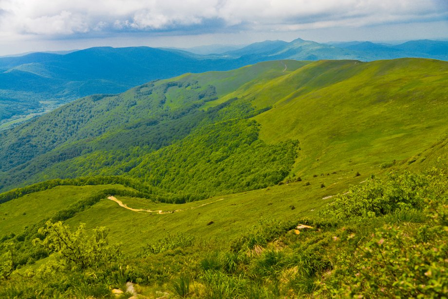 Bieszczady to jeden z najbardziej dzikich i tajemniczych zakątków Polski