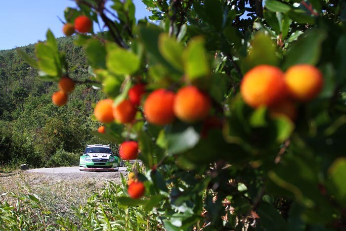 Rajd San Remo 2010: Peugeot lepszy od Škody (galeria Rallyworld©Willy Weyens)