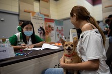 Obowiązkowe czipowanie psów i kotów w całej Polsce. Rząd przyjął projekt ustawy o Krajowym Rejestrze Oznakowanych Psów i Kotów KROPiK