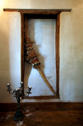 Dom Janusza Palikota