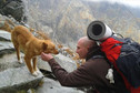 Pies alpinista w Tatrach