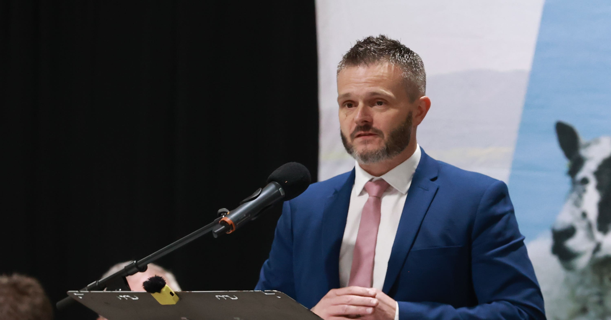 Butler-quits-Ulster-Unionist-leadership-race-Burrows-set-to-lead