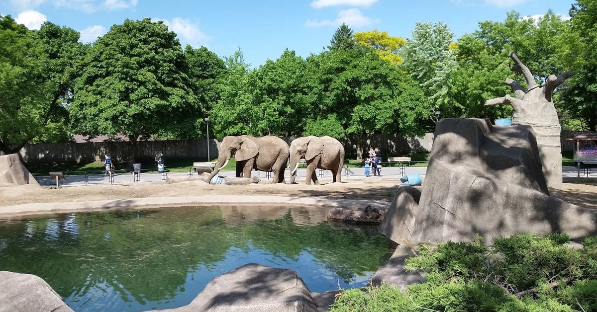 Bardzo trudny quiz z wiedzy o zwierzętach. Połowa punktów to będzie sukces [QUIZ]