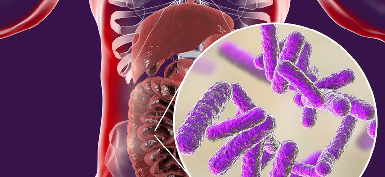 Bakterie jelitowe mogą „dokarmiać” depresję