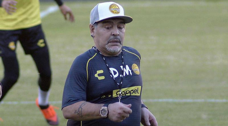 Diego Maradona /Fotó: Northfoto