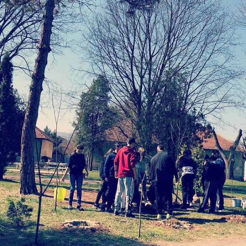 U OŠ "Branislav Nušić u Donjoj Trnavi sade 68 sadnica belog bagrema Balaševiću 