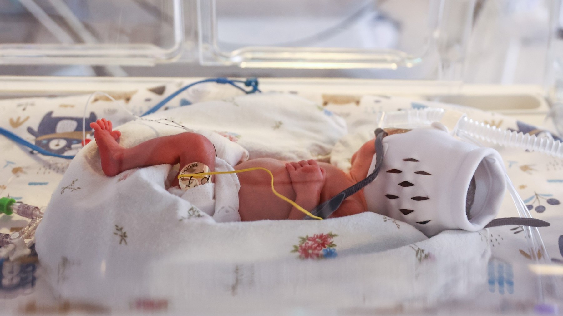 Po radości przyszła smutna wiadomość: matka siedmiorga dzieci urodziła pięcioraczki, jedno z nich przegrało walkę o życie