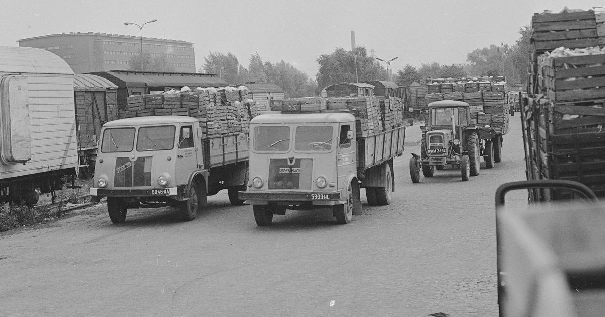 Estrella de Starachowice.  Cómo se creó el camión polaco y por qué ha desaparecido de nuestras carreteras