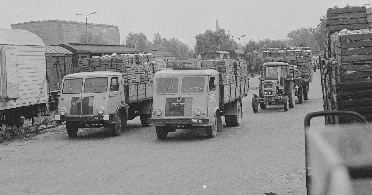 Estrella de Starachowice.  Cómo se creó el camión polaco y por qué ha desaparecido de nuestras carreteras