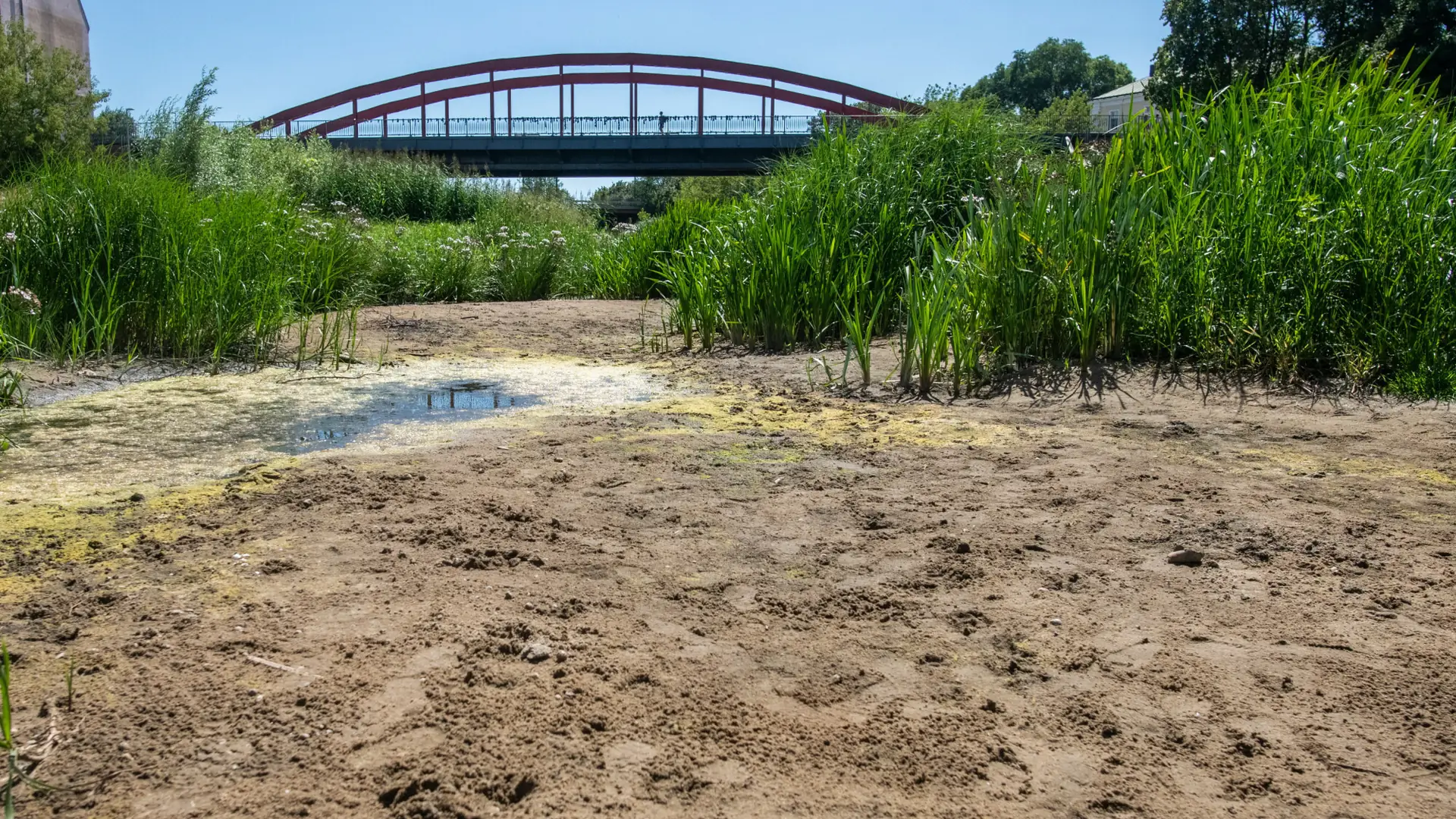 Klimatolożka: globalne ocieplenie w Polsce postępuje szybciej niż średnio na świecie