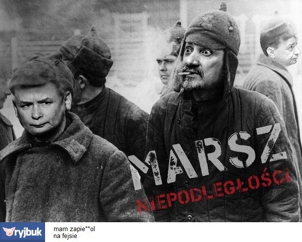 Marsz Niepodległości - mem