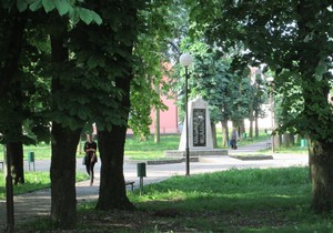 Loznica02 vrane ne daju mira lesnicanima retko prolaze kroz park zbog ptica foto s.pajic
