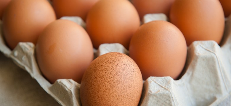 Amerykanie nie mają jaj? Ptasia grypa zbiera straszne żniwo