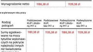 Od 1 stycznia 2013 r. wzrosną płace, dodatki i odszkodowania. Zobacz, ile wyniosą