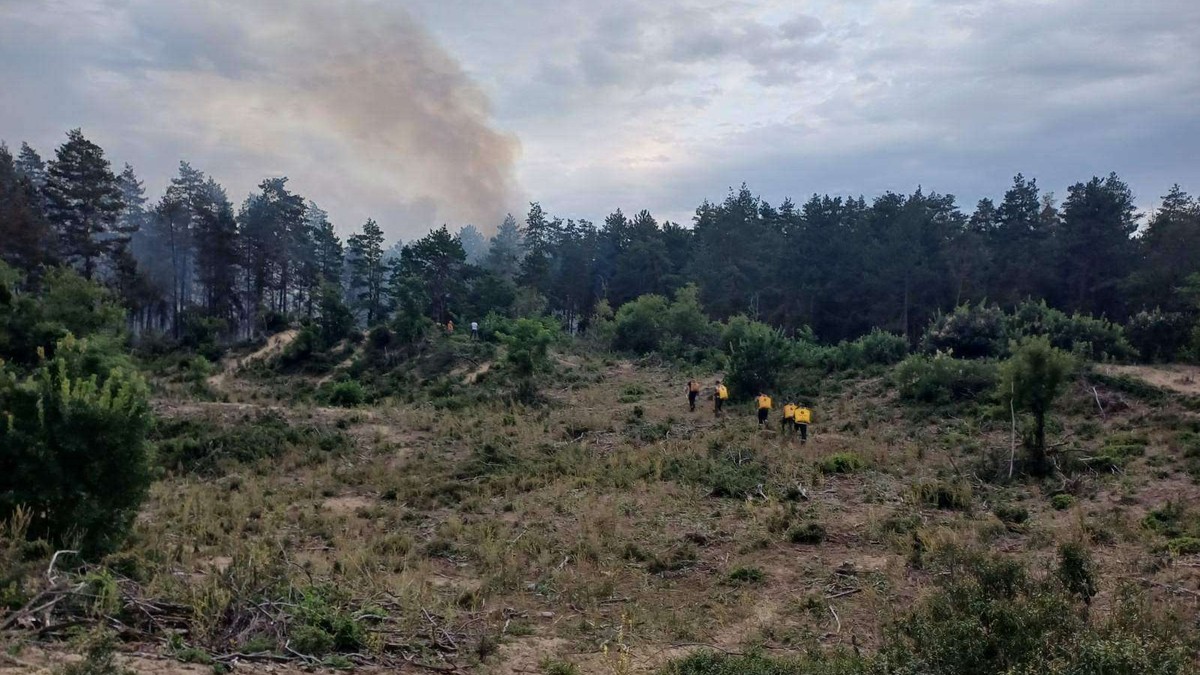 Požar u Deliblatskoj peščari
