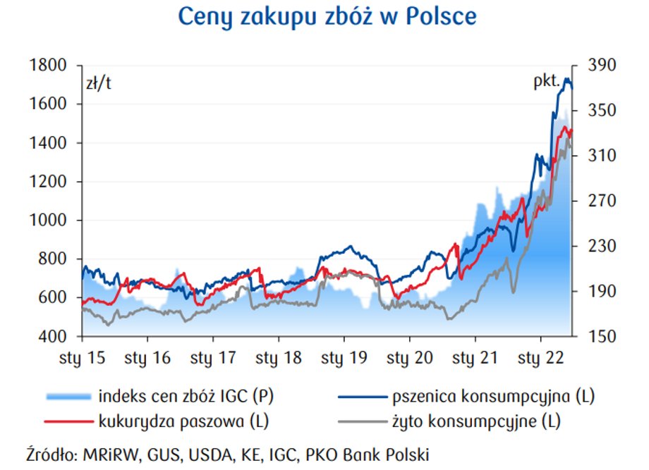 Ceny zbóż w Polsce w kilka lat znacząco wzrosły