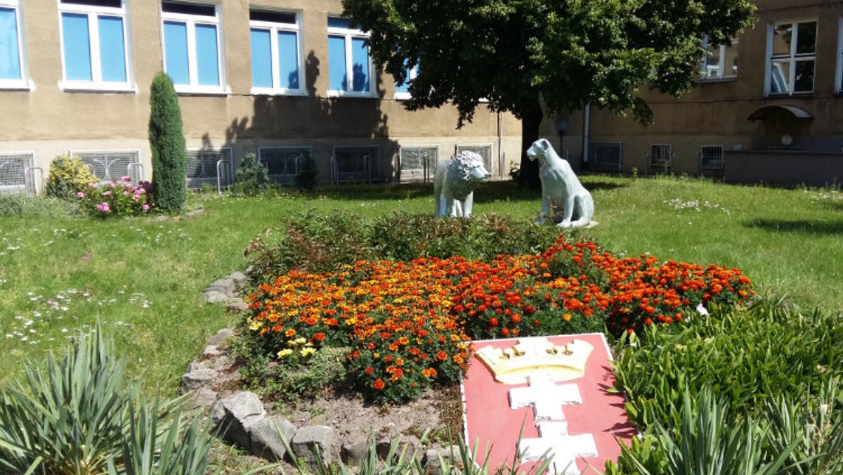 Księgowa miała okraść jedną ze szkół w Nowym Porcie na sumę 370 tysięcy złotych. Proceder mógł trwać nawet kilka lat. Sprawę bada prokuratura. Oświadczenie wydał wiceprezydent Piotr Kowalczuk.