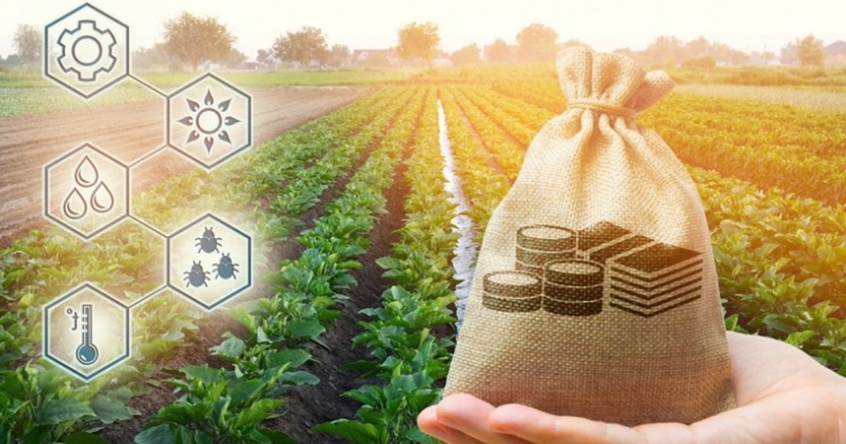 10 ways Africans can make big money from food and agribusiness - Vimarsana News