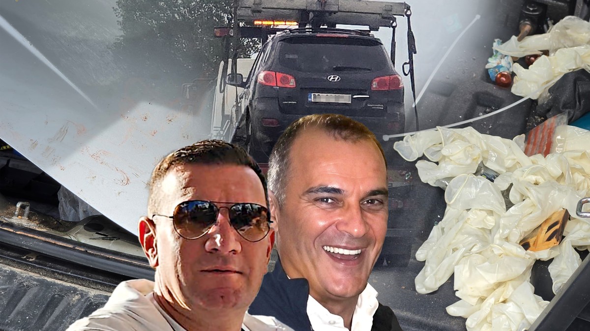 Aleksandar Nešović, Saša Vuković
