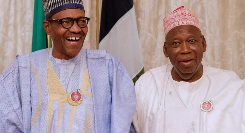 NANS to Buhari: Investigate corruption allegations against Gov. Ganduje