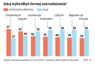 Jaką wybrałbyś formę zatrudnienia?