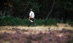 Ile zarabiają leśnicy? Takie zarobki chciałby mieć każdy