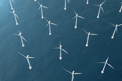 PGE myśli o budowie morskich farm wiatrowych z Duńczykami