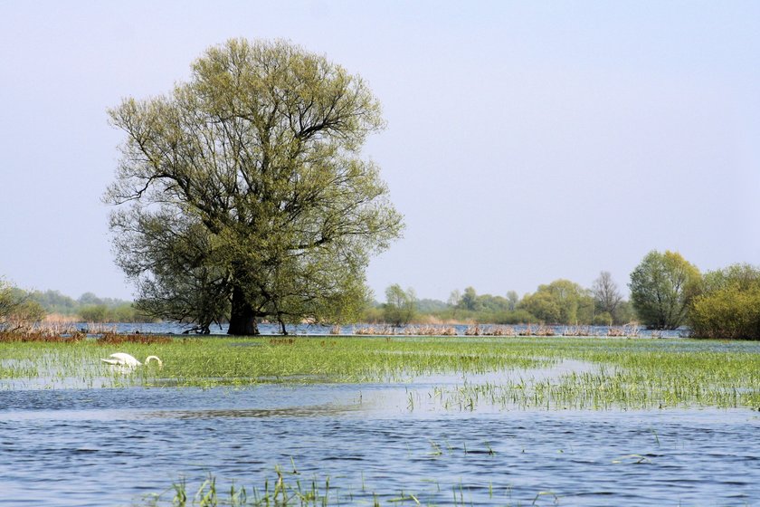 Siedem nowych cudów Polski