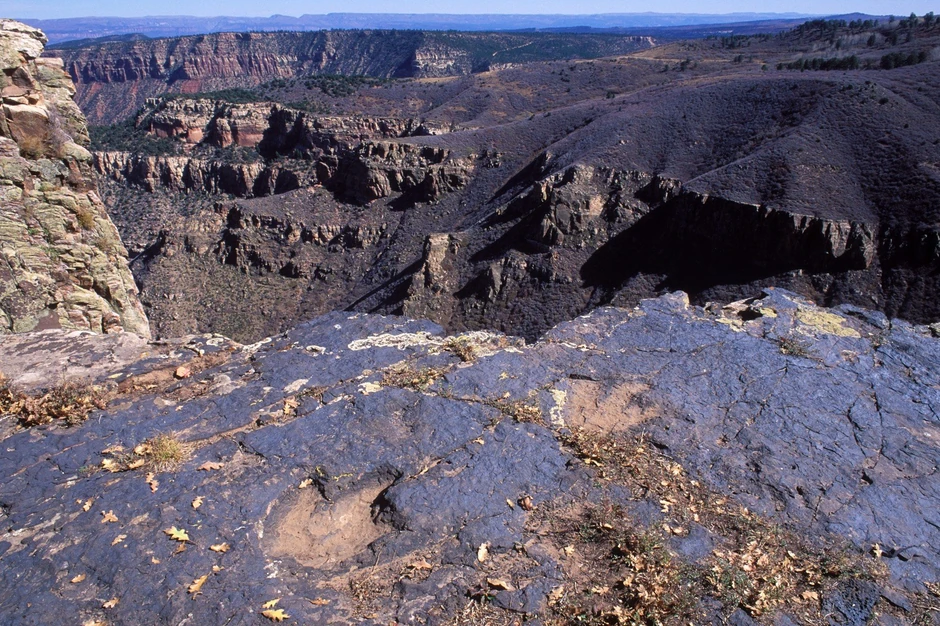 Tragovi teropoda na planini La Sal