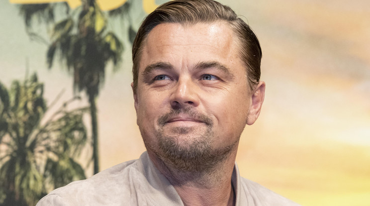 Leonardo DiCaprio játékfilmre adaptálja a Virunga című dokumentumfilmet / Fotó: Northfoto