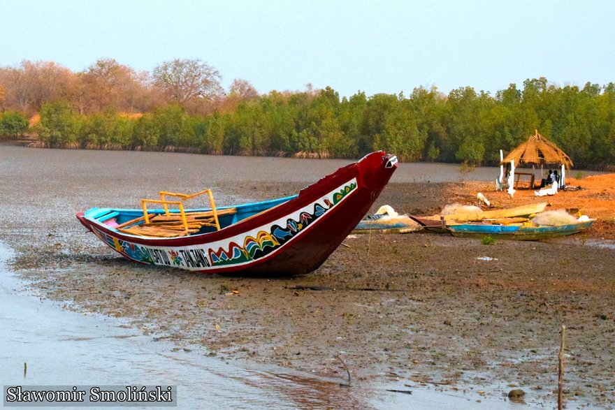 Rzeka Gambia