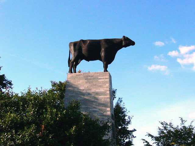 Wschowa, pomnik byka Ilona