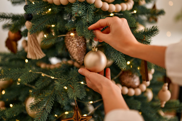 Każdego roku, jednym z ważniejszych elementów świątecznych przygotowań jest zakup, ubranie i pielęgnacja choinki