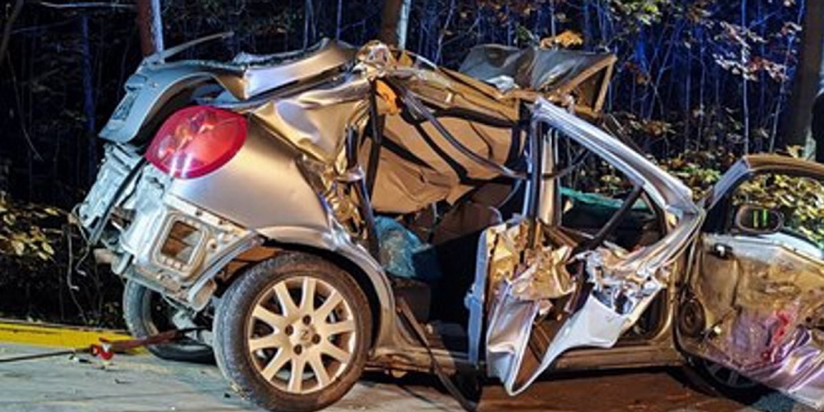 Tragedia pod Kłobuckiem. Nie żyją matka i 14-letnia córka. Syn zmarłej walczy o życie.