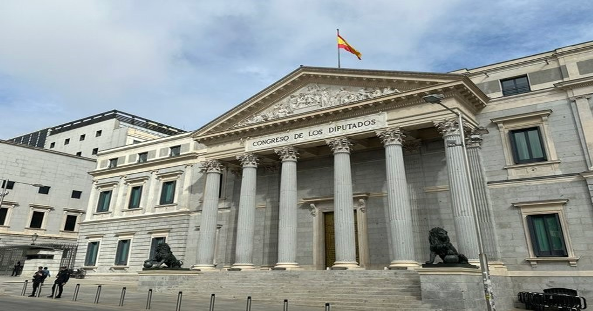 Organizaciones feministas denuncian a Vox por difundir negacionismo desde el Congreso