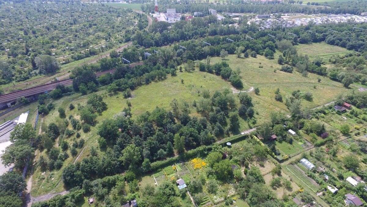 Od piątku wrocławianie mogą już głosować na pomysły, które zostały zgłoszone do tegorocznej edycji Wrocławskiego Budżetu Obywatelskiego. Liderzy projektów nie zamierzają siedzieć z założonymi rękami i na wszelkie sposoby próbują promować swoje inwestycje. Dziś w Onecie przedstawiamy jedną z nich. Mieszkańcy Tarnogaju walczą, by zamienić Wzgórze Tarnogajskie w Lokalne Centrum Relaksu.