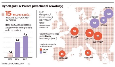 Rynek gazu w Polsce: Konkurenci PGNiG już nadciągają