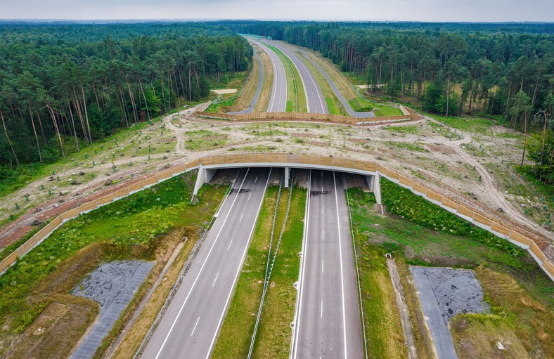 Górne przejście dla dużych zwierząt budowane w ramach drogi S1 Oświęcim - Dankowice