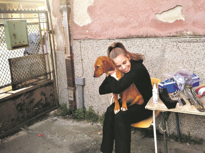 Dejana Stankov, vlasnica Beti, ne može da veruje da je trovač kažnjen kao za saobraćajni prekršaj