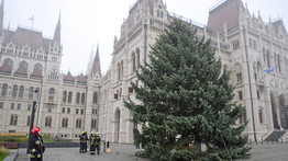 Felállították az ország karácsonyfáját a Parlamentnél – fotók