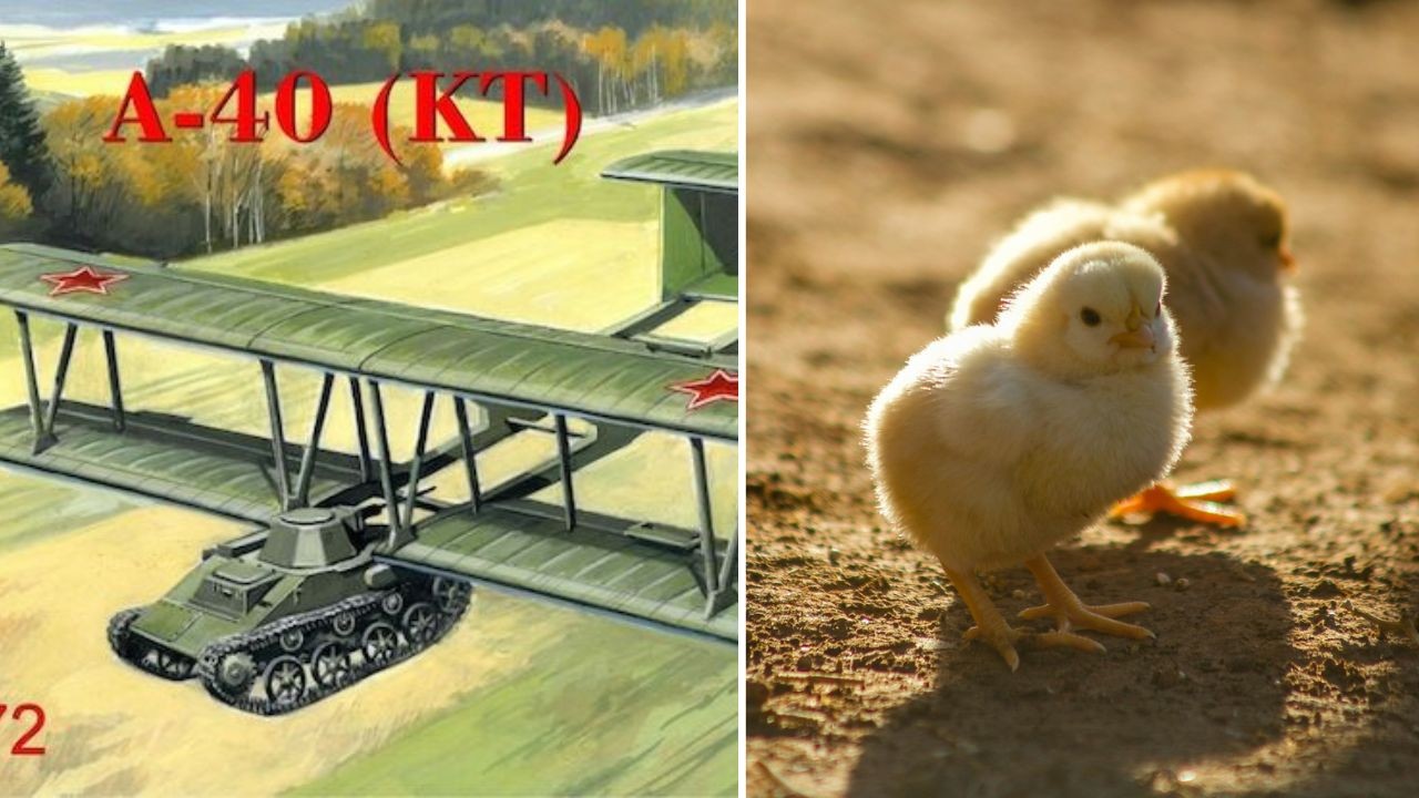 10 vojenských technológií, ktoré prekročili hranice bežnej predstavivosti.