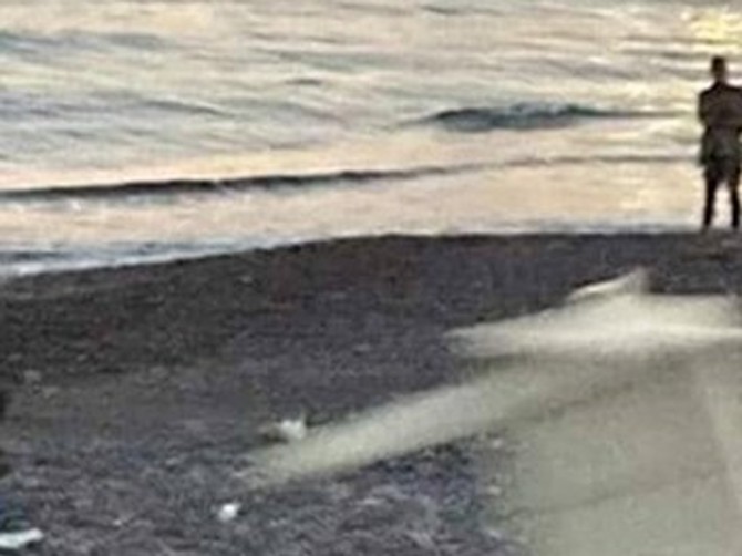 Na plaži u Bugarskoj ljudi vrištali od užasa kad su ugledali njih