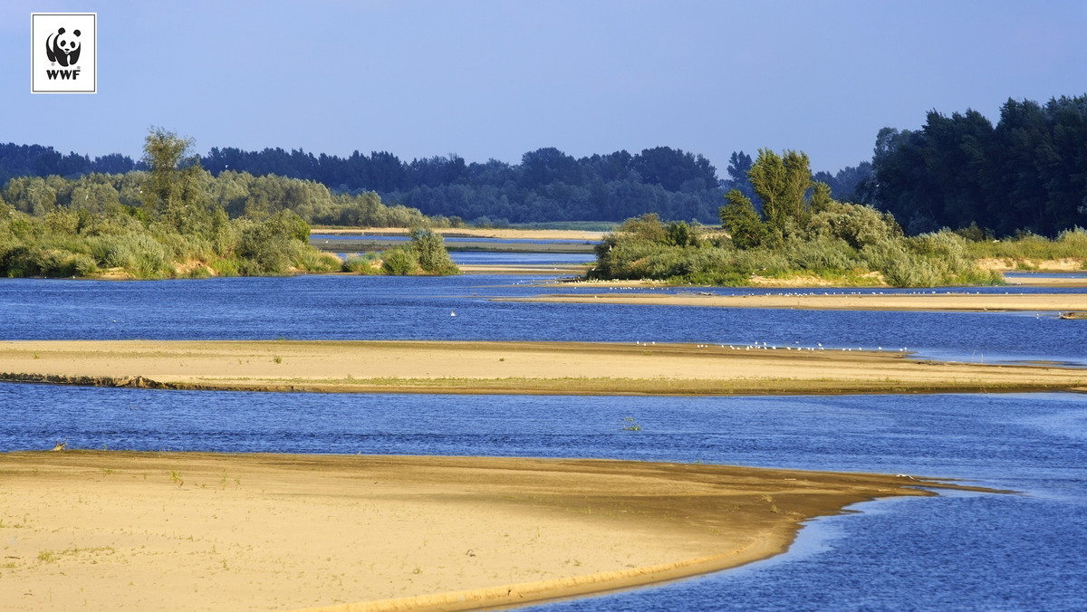 Fundacja WWF Polska zrealizuje pierwszy projekt Google Street View na rzece Wiśle. Zdjęcia do tej pory kojarzone z samochodem przemieszczającym się po mieście, tym razem będą robione przy pomocy specjalnego plecaka Google Trekker z łodzi, która przepłynie przez Polskę, aby pokazać wyjątkowe fragmenty pięknej i naturalnej Wisły – dzikiej przyrody, piaszczystych brzegów i licznych wysp. Jednocześnie każdy dorosły Polak, który chce, aby Wisła pozostała bezpieczną i piękną rzeką może podpisać się pod petycją przeciwko jej dewastacji na stronie godzinadlaziemi.pl.