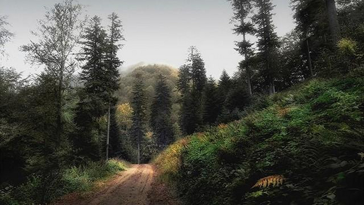 Galeria Polska - Beskidy, obrazek 1