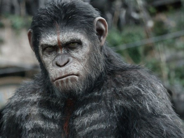 Andy Serkis jako Caesar w filmie "Ewolucja planety małp"
