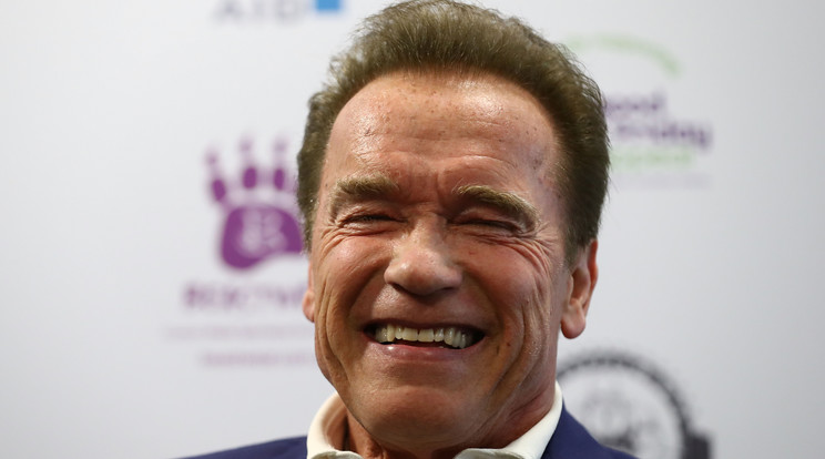 Schwarzenegger /Fotó: GettyImages