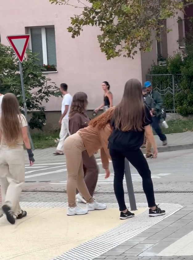 Ich pohyb pripomínal konské klusanie a cval.